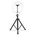 MZ-10 10 Inch Integrated Telescopic Folding Live Fill Light 3 Light Modes 10 Brightness Level Dimmable LED Ring Light for Makeup Photography YouTube Vlog TIK Tok - 10 Inch