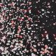 4.9x3.3FT 7.2x4.9FT 9.8x5.9FT Pink and Black Shiny Gold Dot Glamour Sparkle Studio Photography Backdrops Background - C