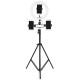 26cm LED Ring Light 3 Color 10 Brightness Dimmable Fill Light with Tripod Stand Dual Phone Clip for Youtube Live Stream Tiktok Broadcast - 50cm